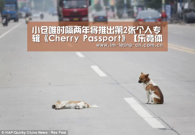 乐竟体育App下载