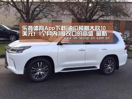 乐竟体育App下载|油价预期大砍10美元!1个月内3度改口的高盛 最新看到了什么?(图3) 乐竟体育手机应用